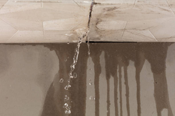 Professional Burst Pipe Cleanup technician working in Goodells, MI